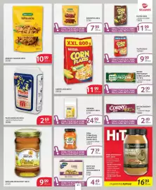 Selgros gazetka Strona 21