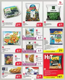 Selgros gazetka Strona 37