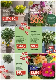 Plantorama tilbudsavis Side 5