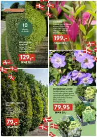 Plantorama tilbudsavis Side 8