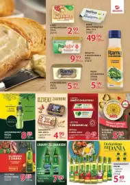 Selgros gazetka Strona 15