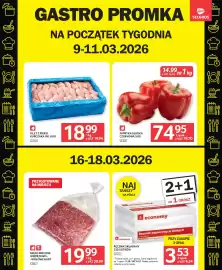 Selgros gazetka Strona 17