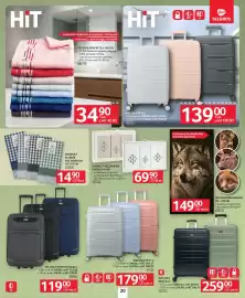 Selgros gazetka Strona 22