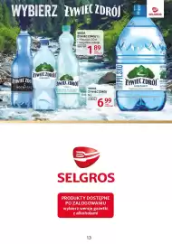 Selgros gazetka Strona 13