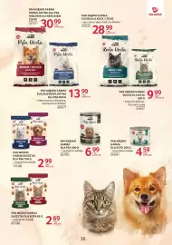 Selgros gazetka Strona 19