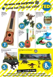 Volantino Tedi Pagina 23