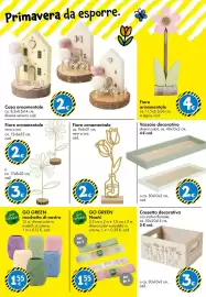 Volantino Tedi Pagina 26