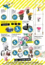 Volantino Tedi Pagina 29