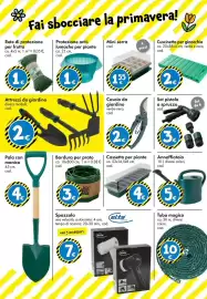 Volantino Tedi Pagina 30