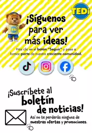 Catálogo TEDi Página 17