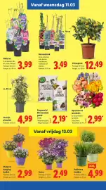 Lidl folder week 11 Pagina 18