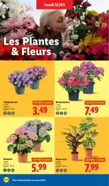 Catalogue Lidl semaine 11 page 26