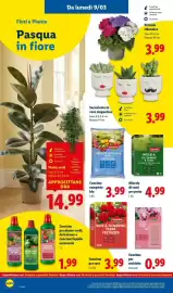 Volantino Lidl settimana 11 Pagina 36