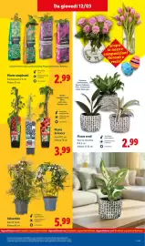 Volantino Lidl settimana 11 Pagina 37