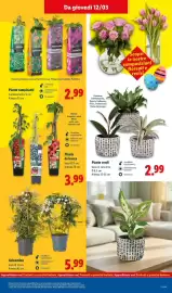 Volantino Lidl settimana 11 Pagina 37