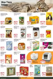 Globus Prospekt woche 11 Seite 19