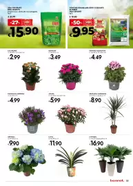 Volantino Bennet Pagina 23