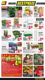 B1 Discount Baumarkt Prospekt woche 10 Seite 4