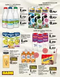 Folleto Gadis semana 10 Página 14