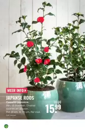 GroenRijk folder week 10 Pagina 12