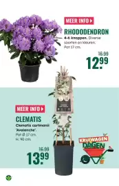 GroenRijk folder week 10 Pagina 13