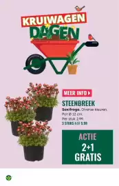 GroenRijk folder week 10 Pagina 15