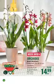 GroenRijk folder week 10 Pagina 18