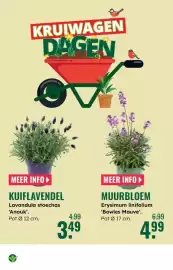 GroenRijk folder week 10 Pagina 4