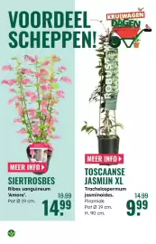 GroenRijk folder week 10 Pagina 6