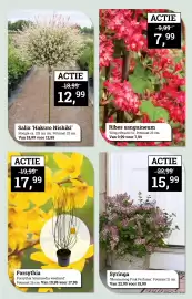 Tuincentrum Osdorp folder Pagina 4