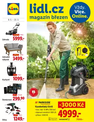 Lidl leták (platné do 22-03)