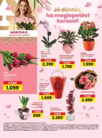 Spar akciós újság hét 10 Oldal 24