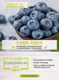 Spar akciós újság hét 10 Oldal 5