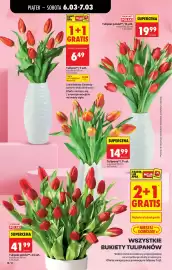 Biedronka gazetka tydzień 10 Strona 14