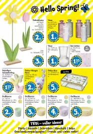 TEDi Prospekt Seite 10