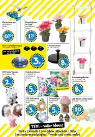 TEDi Prospekt Seite 14