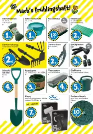 TEDi Prospekt Seite 15