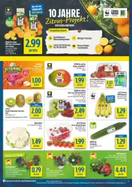 Diska Prospekt woche 11 Seite 4