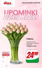 Dino gazetka tydzień 10 Strona 1