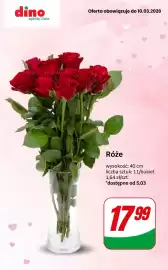 Dino gazetka tydzień 10 Strona 2