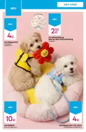 PEPCO Prospekt woche 10 Seite 10