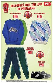 Catalog PPT Pagină 8