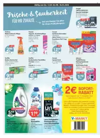 V Markt Prospekt woche 11 Seite 12