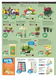 V Markt Prospekt woche 11 Seite 20