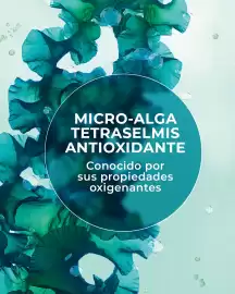 Catálogo Yves Rocher Página 2