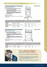 Catalogue Tollens page 283
