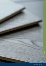 Catalogue Tollens page 285