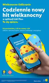 Lidl gazetka Strona 13