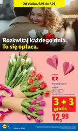 Lidl gazetka Strona 18