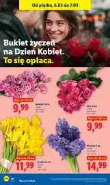 Lidl gazetka Strona 20